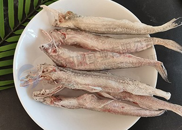 海鮮魚凍干：食品凍干技術(shù)應(yīng)用于龍頭魚冷凍干燥原理